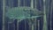 Pike fish swimmning around. Adventurous footage of wild pike in nature habitat. Huge water volume with offshore vegetation