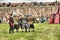 Pikemen  drill at, Fort George, Inverness,Ross Shire, Scotland UK.