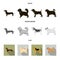 Pikinise, dachshund, pug, peggy. Dog breeds set collection icons in black, flat, monochrome style vector symbol stock