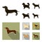 Pikinise, dachshund, pug, peggy. Dog breeds set collection icons in black, flat style vector symbol stock illustration