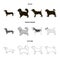 Pikinise, dachshund, pug, peggy. Dog breeds set collection icons in black,monochrome,outline style vector symbol stock