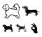 Pikinise, dachshund, pug, peggy. Dog breeds set collection icons in black style vector symbol stock illustration web.
