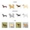 Pikinise, dachshund, pug, peggy. Dog breeds set collection icons in cartoon,flat,monochrome style vector symbol stock