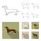 Pikinise, dachshund, pug, peggy. Dog breeds set collection icons in outline,flat style vector symbol stock illustration