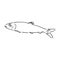 Pilchard. Ink sketch of sardine. Small herring. Hand drawn vector illustration of fish isolated on white background