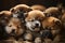 A pile of adorable Akita puppies cuddled together, perfect for showcasing the breed\\\'s charm. Generative Ai