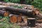 Pile of aged weathered worn old logs stacked irregularly