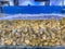 Pile of alive snails in water tank at seafood market
