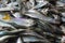 pile of american shad fish in indian fish market for sale