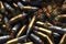 A pile of ammunition for weapons. Cartridges for machine guns and carbines. Background from new shiny cartridges. Neural