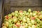 Pile of apples in a wooden crate