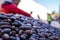 Pile of argan nuts and seeds for selling on street marketplace