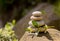 Pile of balancing pebble stones outdoor