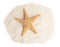 Pile of beach sand with starfish on white background, top view