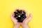 Pile of black aa batteries in mans handful on yellow background.