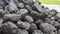 Pile Of Black Coal. Fuel and energy for home and industry. hard coal is harmful, high exhaust emissions. Mining and mining coal