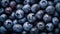 A pile of blueberries background