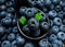 Pile of blueberries in black spoon on group of blueberry background