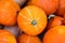 Pile of bright ripe orange hokkaido pumpkins at farmers market patch. Autumn fall harvest Thanksgiving