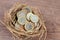 Pile of British pound coins in bird net, treasure or investment concept