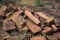 Pile of Broken Mossy Old Brick