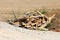 Pile of broken used wooden boards left on construction site after use surrounded with gravel and dry soil