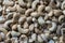 Pile cashew nuts without shell, closeup, top view. Whole nut kernels