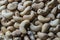 Pile cashew nuts without shell, closeup, top view. Whole nut kernels