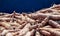 Pile cassava in the pickup truck, cassava for tapioca flour industry, raw yucca tuber in front view