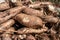 pile cassava for tapioca flour industry  raw yucca tuber  cassava in top view for background