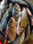 pile of catla indian river carp in plastic basket for sale close view of catla carp HD