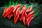 Pile of chilli background