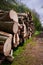 Pile of chopped down logs lying horizontal lengthwise by muddy path