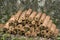 Pile of chopped fire wood prepared for winter