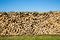 Pile of chopped firewood, green grass and blue sky