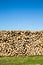 Pile of chopped firewood,green grass and blue sky