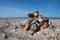 Pile of coarse stones on the beach of the baltic sea against the