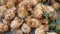 Pile of coconuts in the food market of Indonesia