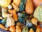 Pile of Colorful Ornamental Gourds