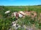 A pile of construction debris in the middle of a field