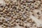 Pile Coriander seeds on wooden bowl