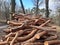 pile of crooked pine wood logs from logging a lot of crooked woods apparently on heating Pinus silvestris