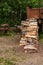 Pile crushed birch logs high pile on the ground against a rusty trunk lorry truck background