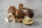 A pile of cut forest mushrooms on a concrete kitchen table. Cep mushroom; Boletus; Borovik.