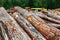 A pile of cut logs in the forest. Logging near a sawmill in a rural area, with fallen wood