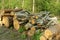 A pile of cut logs of trees from poplars and pines
