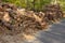 A pile of cut wooden logs on a sawmill. Wood harvesting