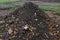 Pile of dark construction gardening soil mud land earth dirt heap pile mound, freshly dug, with some wet soil and leaves