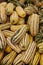 A pile of delicata squash on display at farmer`s market