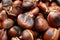 Pile of delicious edible roasted chestnuts as background, closeup